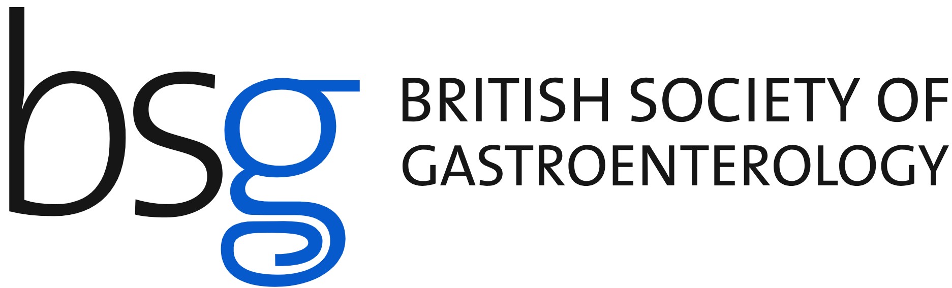bsg logo