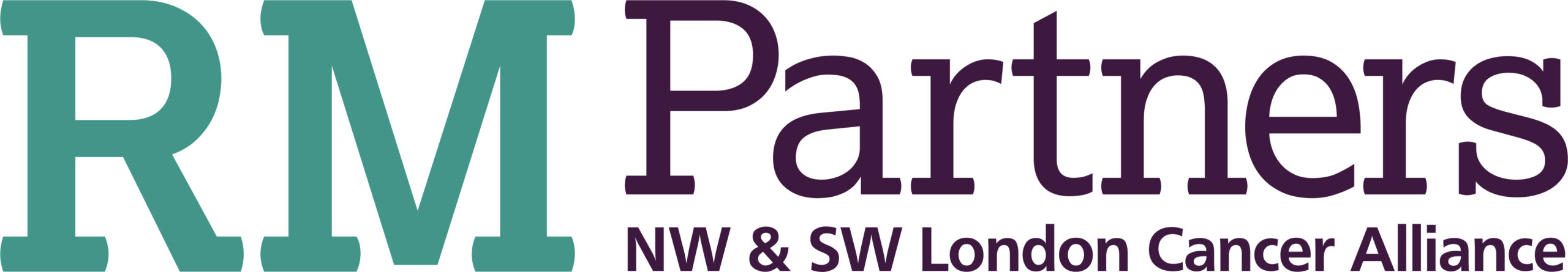 RM Partners logo